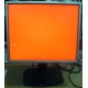 Монитор 19" TFT HP 1955 (DVI в Малаховке, USB-хаб) "квадратный" (Малаховка)
