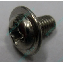 Компьютерный винт "малый" PW-M3x6mm (Малаховка)
