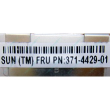 Серверная память SUN (FRU PN 371-4429-01) 4096Mb (4Gb) DDR3 ECC в Малаховке, память для сервера SUN FRU P/N 371-4429-01 (Малаховка)