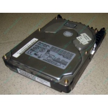 Жесткий диск 18.4Gb Quantum Atlas 10K III U160 SCSI (Малаховка)