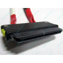 SATA-кабель для корзины HDD HP 451782-001 459190-001 для HP ML310 G5 (Малаховка)
