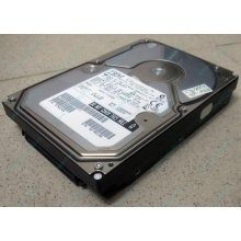 Жесткий диск 18.2Gb IBM Ultrastar DDYS-T18350 Ultra3 SCSI (Малаховка)
