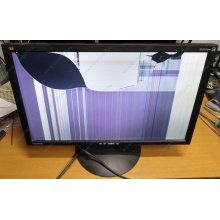 ViewSonic VA2413WM-2 разбитая матрица (Малаховка)