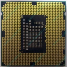 Процессор Intel Celeron G1620 (2x2.7GHz /L3 2048kb) SR10L s.1155 (Малаховка)