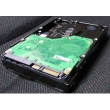 Жесткий диск 600Gb 15k Dell 9FN066-008 6G SAS ( Seagate Cheetach ST3600057SS 15K.7) - Малаховка
