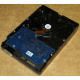 Электроника HDD 500Gb Hitachi HDS721050DLE630 (Малаховка)