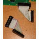 6017B0045701 Шлейф 24pin для Intel C74974-401 T0043401-B01 корпуса SR2400 (Малаховка)