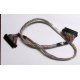 Intel 6017B0045301 в Малаховке, 68 pin SCSI кабель 26.5" / 57см для корзины HDD корпуса SR2400 (Малаховка)