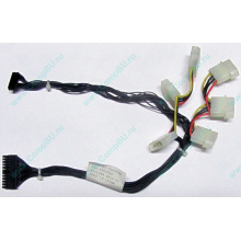 59P4789 FRU 59P4792 в Малаховке, кабель IBM 59P4789 FRU 59P4792 для серверов X225 (Малаховка)