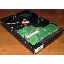 Жесткий диск 500Gb WD WD5000AAKX HP 634605-003 613208-001 7.2k SATA (Малаховка)